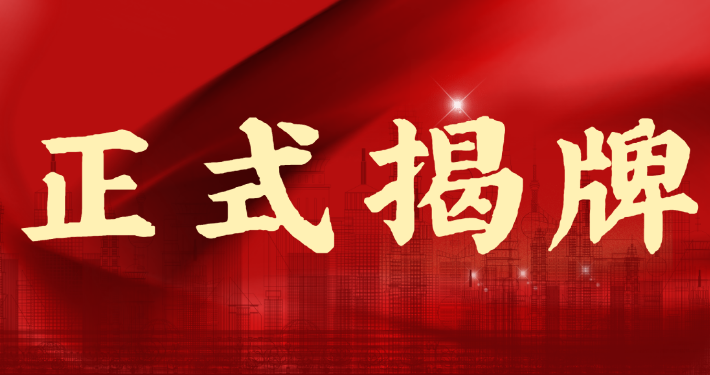 深化市場布局丨廣西建材院多個區(qū)外辦事處正式揭牌
